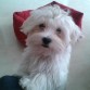 4 meses. Siempre tan cariñosa. ;)